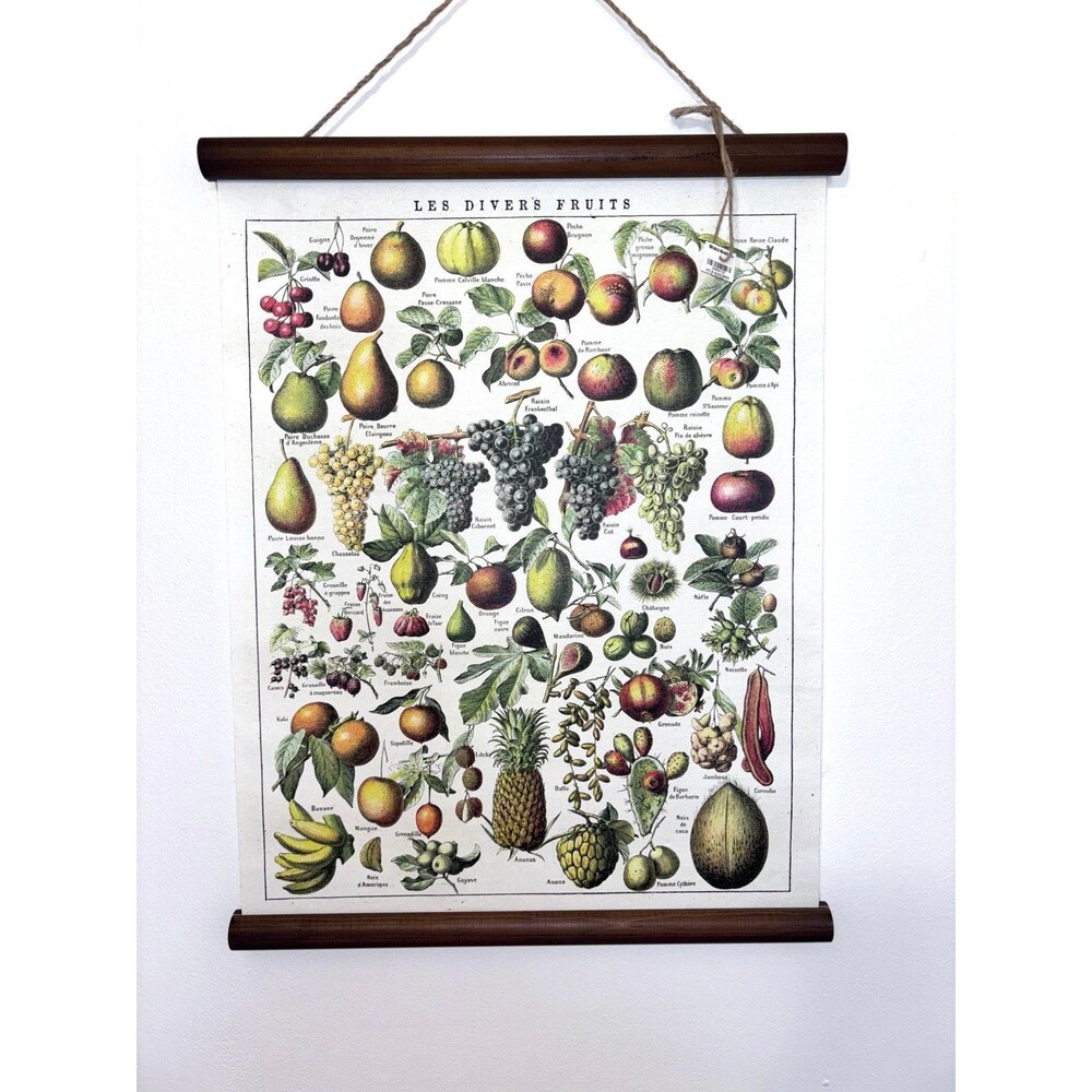 Vintage Botanical Print of Fruits In French World Market Kitchen Decor